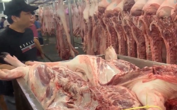 Giá heo hơi hôm nay 10.12.2025: Tạm ngừng đà tăng Giá heo hơi hôm nay 10.12.2025: Tạm ngừng đà tăng