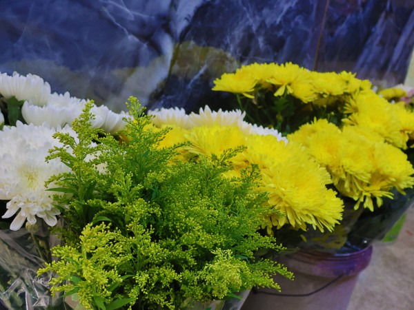 Hỏa táng thú cưng: Ngày đầu vào Bình Hưng Hòa 'hơi sợ sợ'