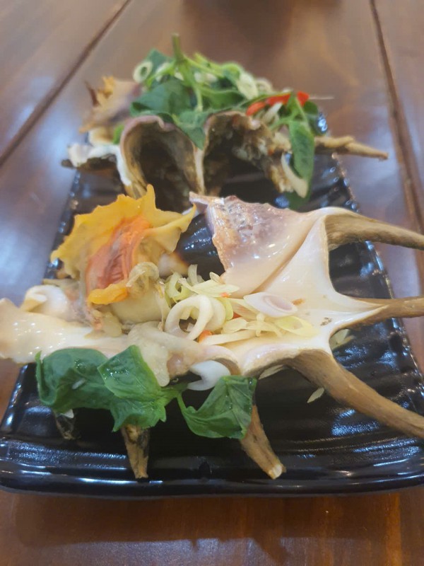 Hương vị quê hương: Ốc bàn tay