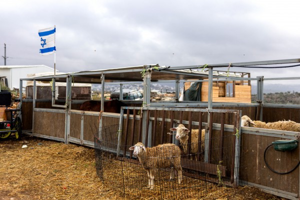 Israel mở rộng khu định cư ở Bờ Tây gây phản ứng Israel mở rộng khu định cư ở Bờ Tây gây phản ứng