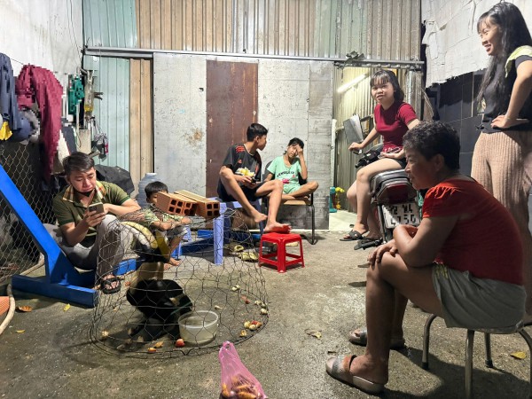 TP.HCM: Liên tiếp bắt được chim nghi là hồng hoàng quý hiếm tại xã Xuân Thới Sơn