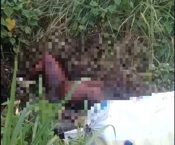 TP.HCM: Phát hiện người lõa thể, chết lâu ngày cạnh trạm thu phí TP.HCM: Phát hiện người lõa thể, chết lâu ngày cạnh trạm thu phí