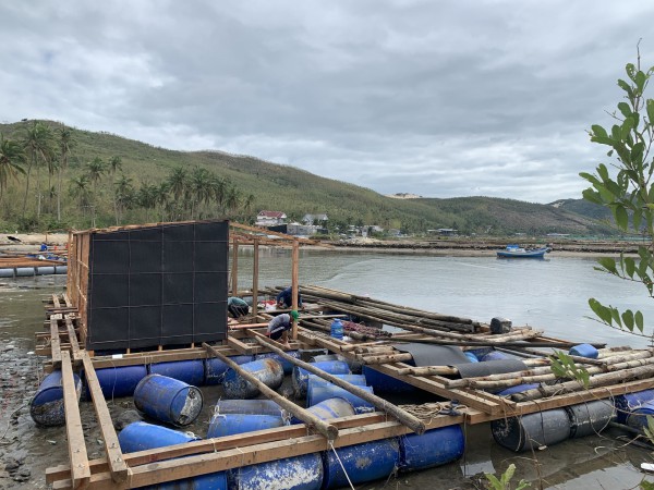 Thủ phủ tôm hùm nỗ lực hồi sinh sau lũ