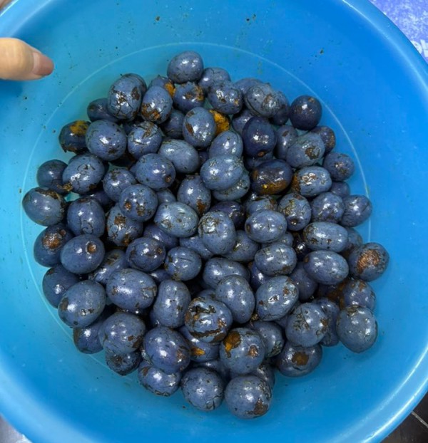 Trái cọ vào mùa: Ăn sao cho đúng để không rát cổ? Trái cọ vào mùa: Ăn sao cho đúng để không rát cổ?