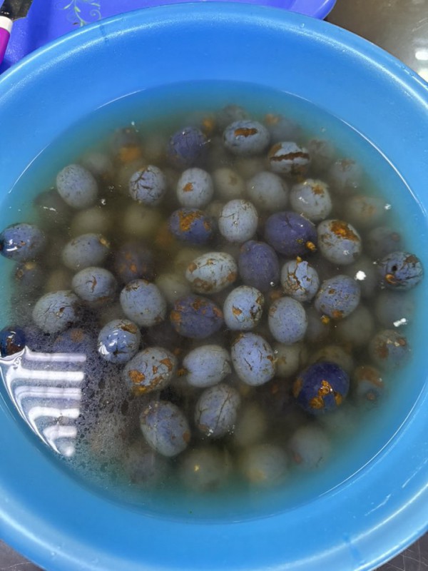 Trái cọ vào mùa: Ăn sao cho đúng để không rát cổ? Trái cọ vào mùa: Ăn sao cho đúng để không rát cổ?