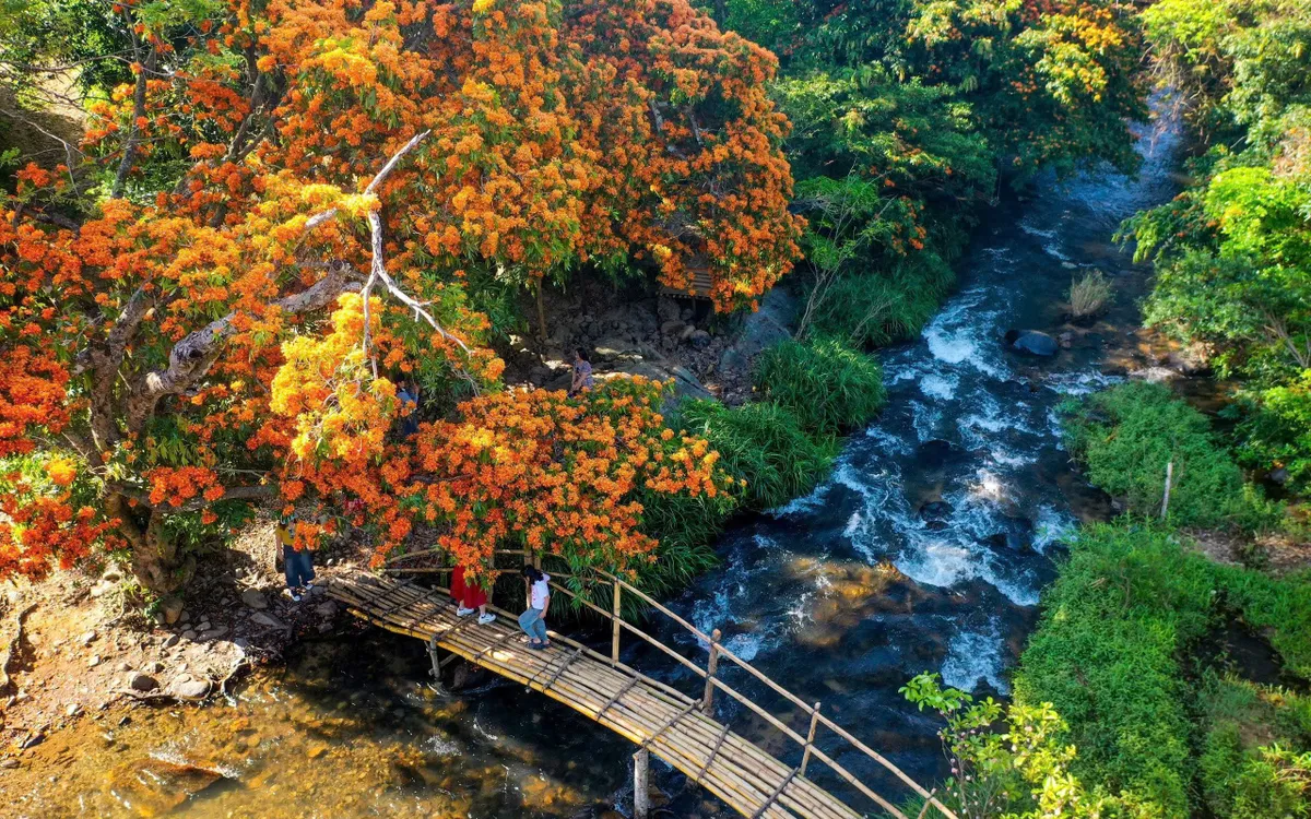 Gia Lai - Hội tụ bản sắc, lan tỏa xanh.( Ảnh: Mai Hương)
