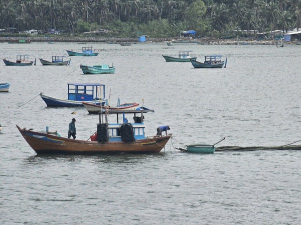 Tái thiết vùng rốn lũ: Thủ phủ tôm hùm hồi sinh