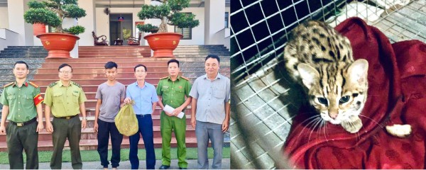 Đồng Nai: Công an tuần tra, phát hiện động vật quý hiếm đang bò trên quốc lộ 13