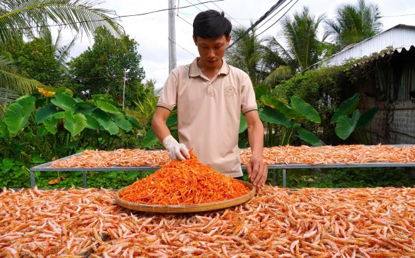 Tôm khô móng chim Cà Mau hiếm cỡ nào mà giá hơn 1,5 triệu đồng/kg?