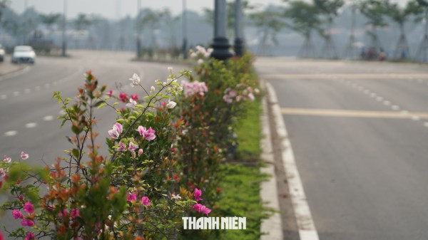 Đường ven sông Đồng Nai thông xe kỹ thuật, biệt thự 100 tuổi còn nguyên Đường ven sông Đồng Nai thông xe kỹ thuật, biệt thự 100 tuổi còn nguyên