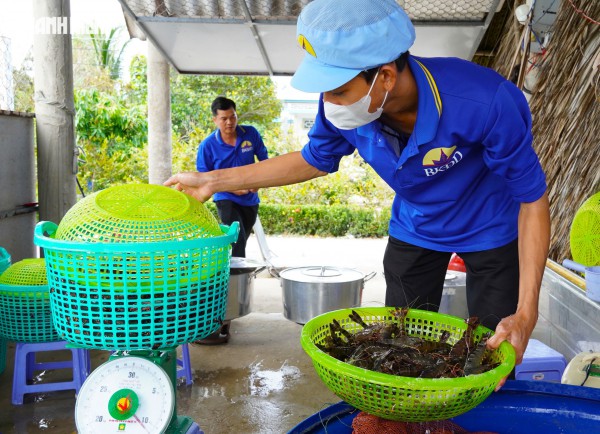 Tôm sú khô nguyên vỏ Cà Mau 'cháy hàng' dịp tết, giá 1,5 triệu/kg vẫn hút khách Tôm sú khô nguyên vỏ Cà Mau 'cháy hàng' dịp tết, giá 1,5 triệu/kg vẫn hút khách