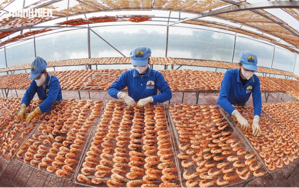 Tôm sú khô nguyên vỏ Cà Mau 'cháy hàng' dịp tết, giá 1,5 triệu/kg vẫn hút khách Tôm sú khô nguyên vỏ Cà Mau 'cháy hàng' dịp tết, giá 1,5 triệu/kg vẫn hút khách