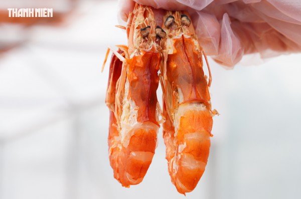 Tôm sú khô nguyên vỏ Cà Mau 'cháy hàng' dịp tết, giá 1,5 triệu/kg vẫn hút khách Tôm sú khô nguyên vỏ Cà Mau 'cháy hàng' dịp tết, giá 1,5 triệu/kg vẫn hút khách