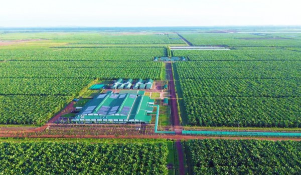 Kinh ngạc với hệ sinh thái nông nghiệp của tỉ phú Trần Bá Dương