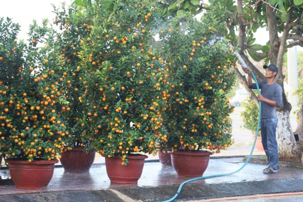 Đưa hàng Tết ra đảo Lý Sơn: Không để thiếu hụt nguồn hàng phục vụ người dân