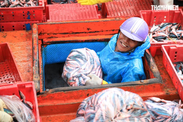 Ngư dân Quảng Ngãi rộn ràng phiên biển cuối năm: 'Mệt mấy cũng vui'