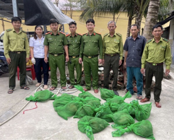 22 con chồn hương bị bỏ trên chiếc vỏ lãi