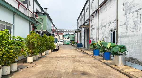 BV Pharma bị xử phạt 100 triệu đồng, đình chỉ hoạt động 7,5 tháng BV Pharma bị xử phạt 100 triệu đồng, đình chỉ hoạt động 7,5 tháng