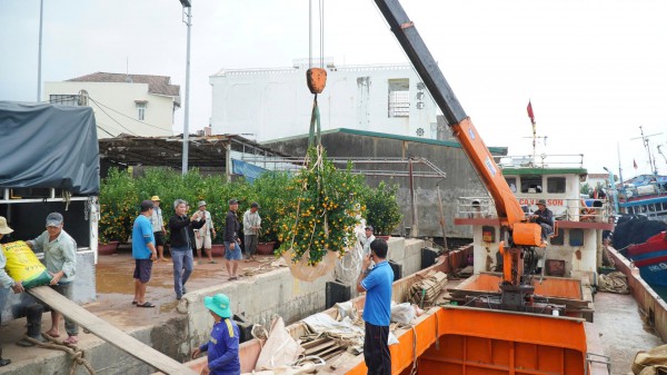 Đưa hàng Tết ra đảo Lý Sơn: Không để thiếu hụt nguồn hàng phục vụ người dân