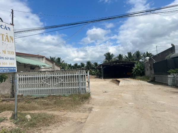 Gia Lai: Hàng chục trạm cân nông sản sai phạm