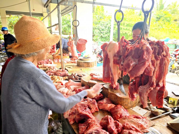 Giá heo hơi hôm nay 6.2026: Xoay chiều tăng Giá heo hơi hôm nay 6.2026: Xoay chiều tăng