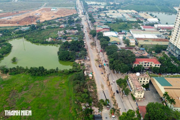 Hà Nội: Chặt hạ, dịch chuyển hàng xà cừ cổ thụ trên đường 70 Hà Nội: Chặt hạ, dịch chuyển hàng xà cừ cổ thụ trên đường 70