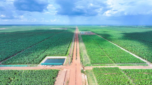 Kinh ngạc với hệ sinh thái nông nghiệp của tỉ phú Trần Bá Dương