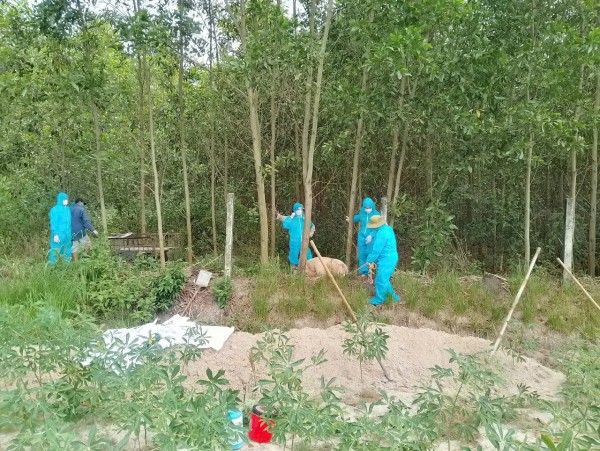 Quảng Ngãi đề nghị hỗ trợ hơn 106 tỉ đồng khắc phục dịch bệnh động vật