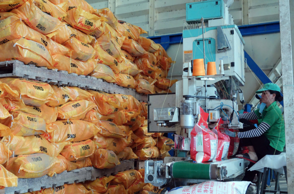 Thị trường gạo Việt Nam thế nào sau khi Philippines mở cửa?