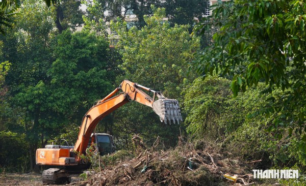 Vì sao cần chiến lược khi tận dụng 'đất vàng' bỏ trống ở TP.HCM?