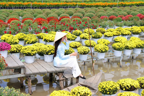 Biến vườn hoa kiểng thành điểm check-in, nông dân Sa Đéc thu tiền triệu mỗi ngày Biến vườn hoa kiểng thành điểm check-in, nông dân Sa Đéc thu tiền triệu mỗi ngày