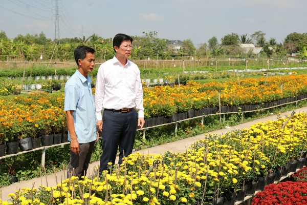 Biến vườn hoa kiểng thành điểm check-in, nông dân Sa Đéc thu tiền triệu mỗi ngày Biến vườn hoa kiểng thành điểm check-in, nông dân Sa Đéc thu tiền triệu mỗi ngày