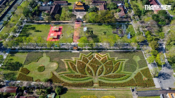 Ngắm đóa sen khổng lồ kết từ 50.000 chậu hoa khoe sắc bên kinh thành Huế