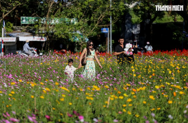 Ngắm đóa sen khổng lồ kết từ 50.000 chậu hoa khoe sắc bên kinh thành Huế