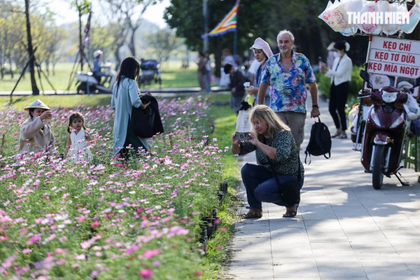 Ngắm đóa sen khổng lồ kết từ 50.000 chậu hoa khoe sắc bên kinh thành Huế