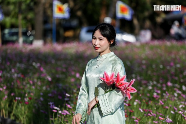 Ngắm đóa sen khổng lồ kết từ 50.000 chậu hoa khoe sắc bên kinh thành Huế