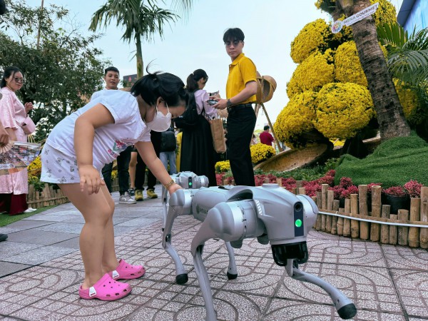 Phố xá rộn ràng đón tết