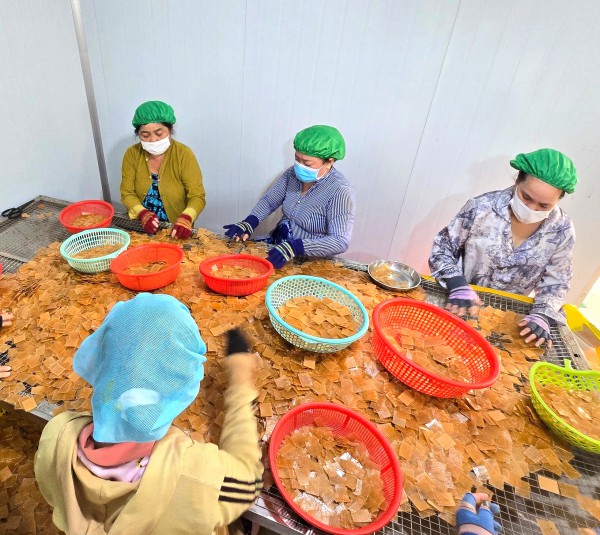 Làng bánh phồng tôm ở Cà Mau đỏ lửa cận tết, đơn hàng tăng 30%