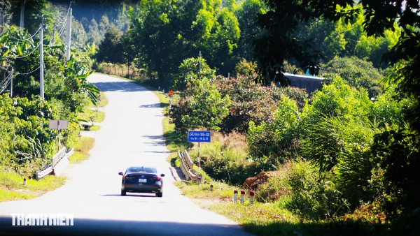 Lữ khách bâng khuâng trên cung đường khác lạ đi Đà Lạt