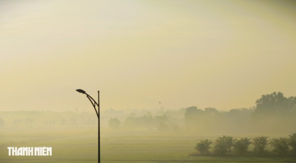 Lữ khách bâng khuâng trên cung đường khác lạ đi Đà Lạt