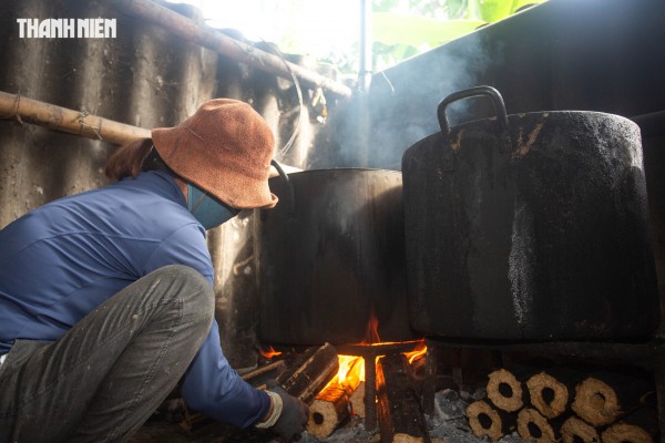 Bánh tét mặt trăng màu xanh ngọc ở Quảng Trị: Bí quyết từ nắm rau quê