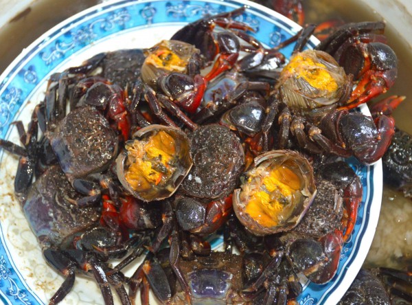 Chuyện ít biết về chù ụ - đặc sản kín tiếng của rừng ngập mặn Cà Mau