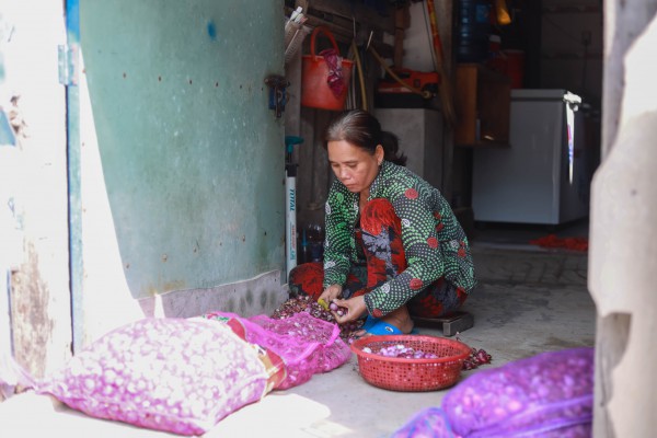 Tết lạ 'xóm chảy nước mắt' ở TP.HCM: Vì sao nhiều người bỏ nghề?