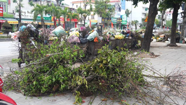 Rác thải chất thành đống ở các phường trung tâm Thanh Hóa