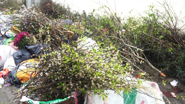 Rác thải chất thành đống ở các phường trung tâm Thanh Hóa