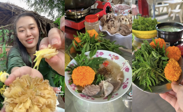 Ăn hoa tết thành hot trend triệu view, nhiều người lo ngại vì lý do này Ăn hoa tết thành hot trend triệu view, nhiều người lo ngại vì lý do này