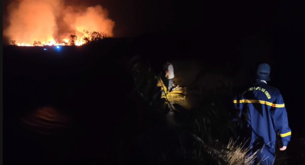 Cháy rừng ở An Giang, nơi đàn sếu đầu đỏ từng về kiếm ăn