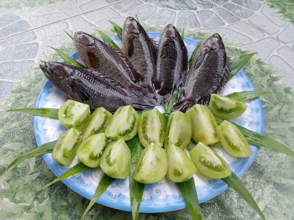 Hương vị quê hương: Rô đồng kho cà chua xanh