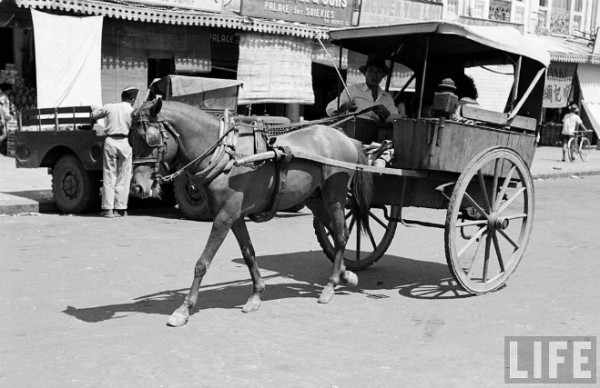 Ít ai biết, TP.HCM có 'đường của ngựa' hơn 100 năm trước chợ nhà giàu