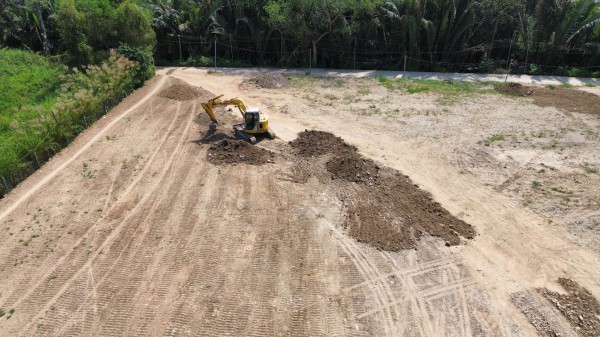 TP.HCM: San lấp trái phép gần 1.800 m2 giữa rừng cây phường Long Phước